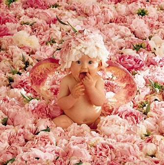 in_roses.jpg
