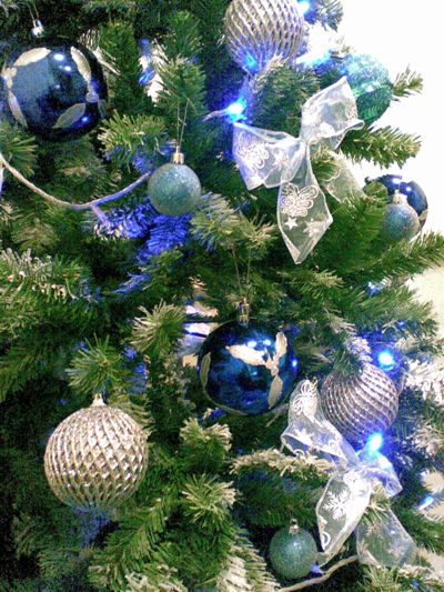 Image001.jpg