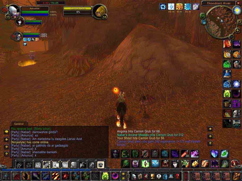 WoWScrnShot_072205_164205.JPG