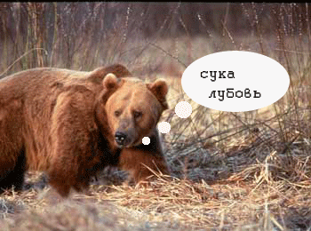 222.gif
