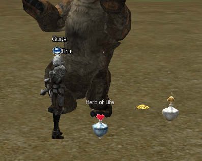 herbs.gif