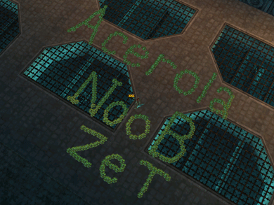 acer.gif