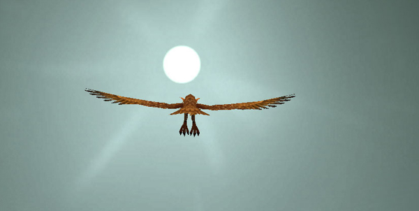 fly.jpg