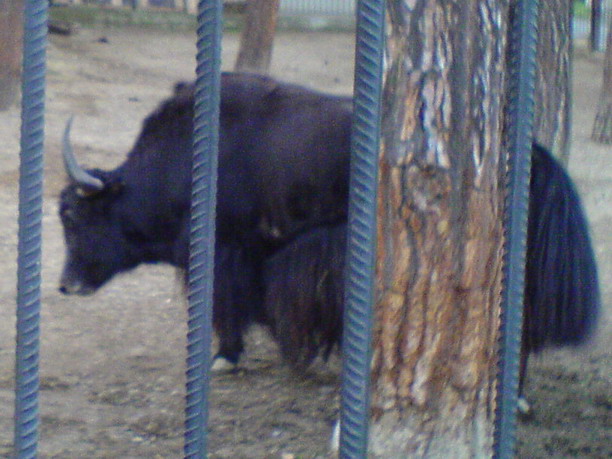 DSC00053.jpg