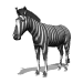 zebra02.gif
