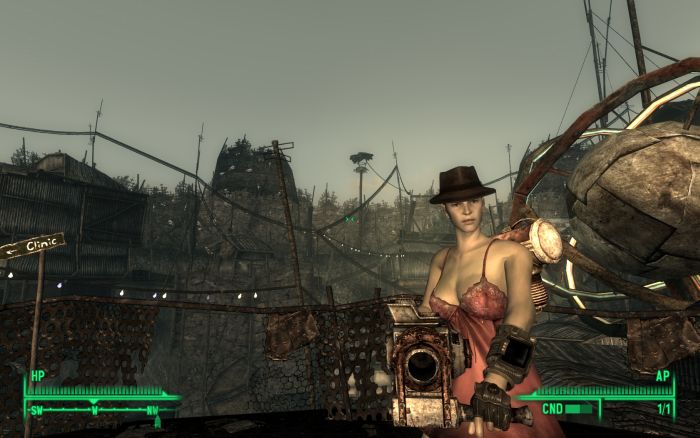 fallout3.jpg