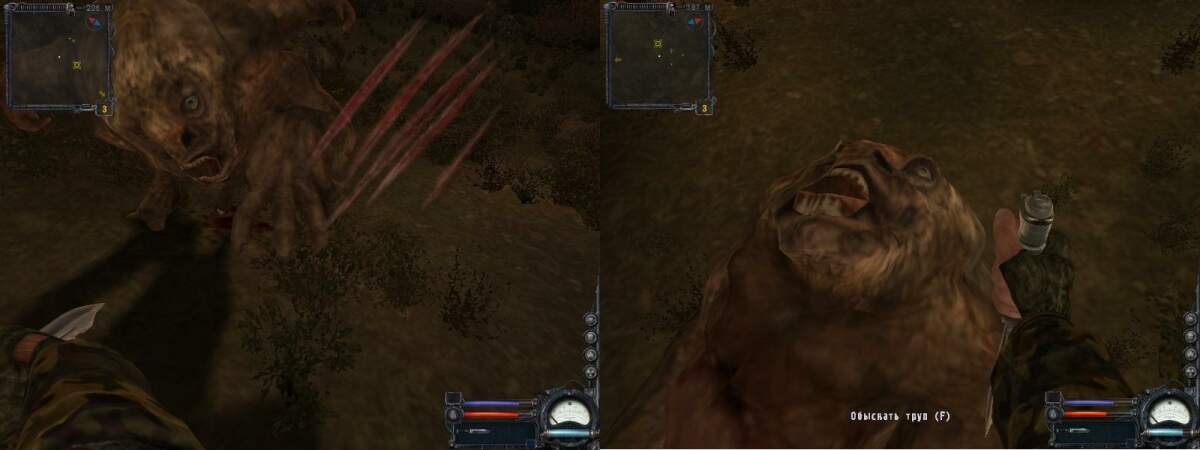 surati.jpg
