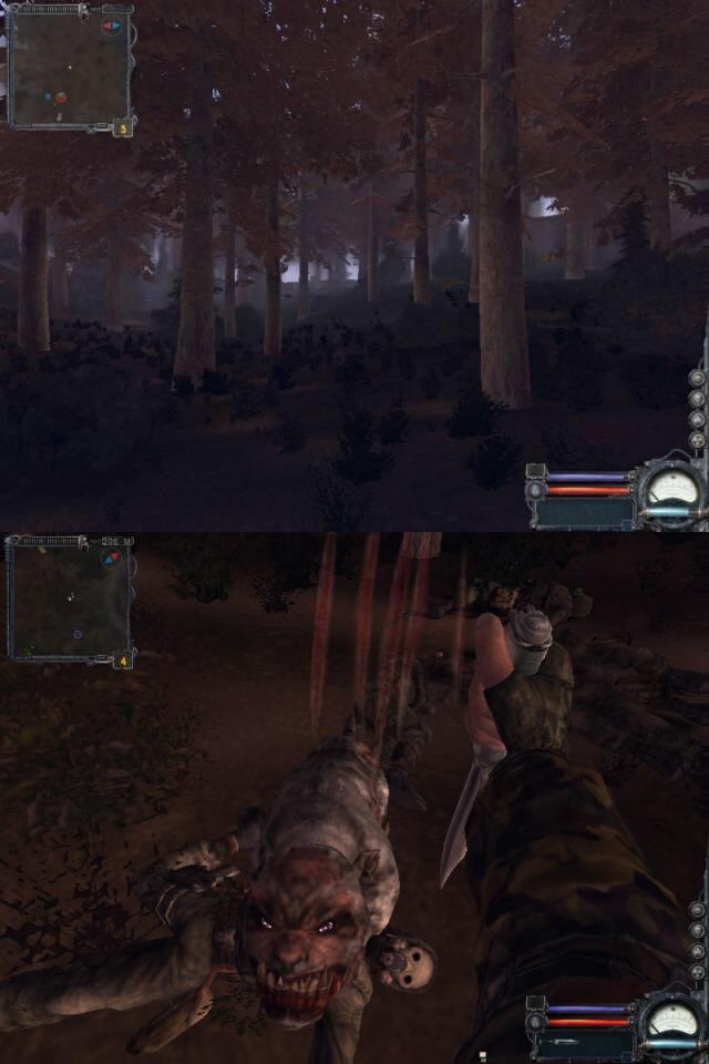 surati1.jpg
