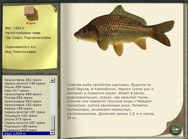Карповые Рыбы Список С Фото