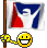 iRacing_flag.gif