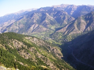 Copy_of_P8050015.JPG