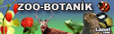 aktuel_zoo_botanik_menu.jpg