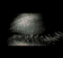 asde.gif