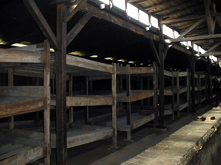 Birkenau_prycze_1_.jpg