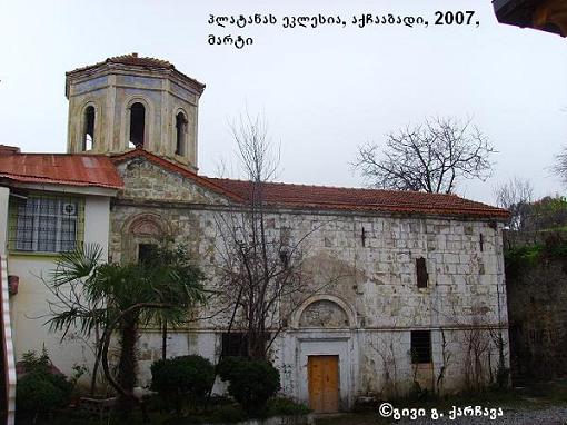 platana1.JPG