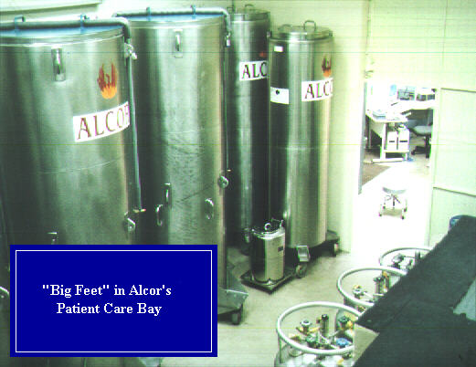 defreezers1.jpg