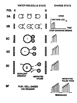 meyer1.gif