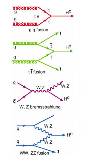 HiggsFeynman.jpg