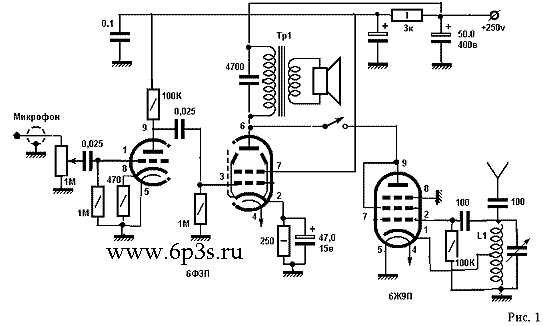 image1.gif