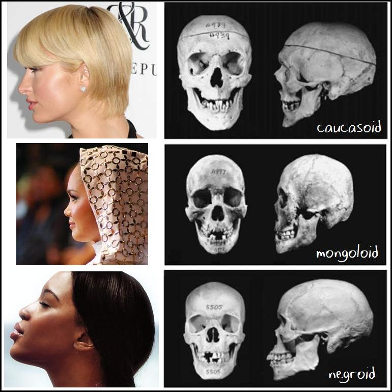 skuls.jpg