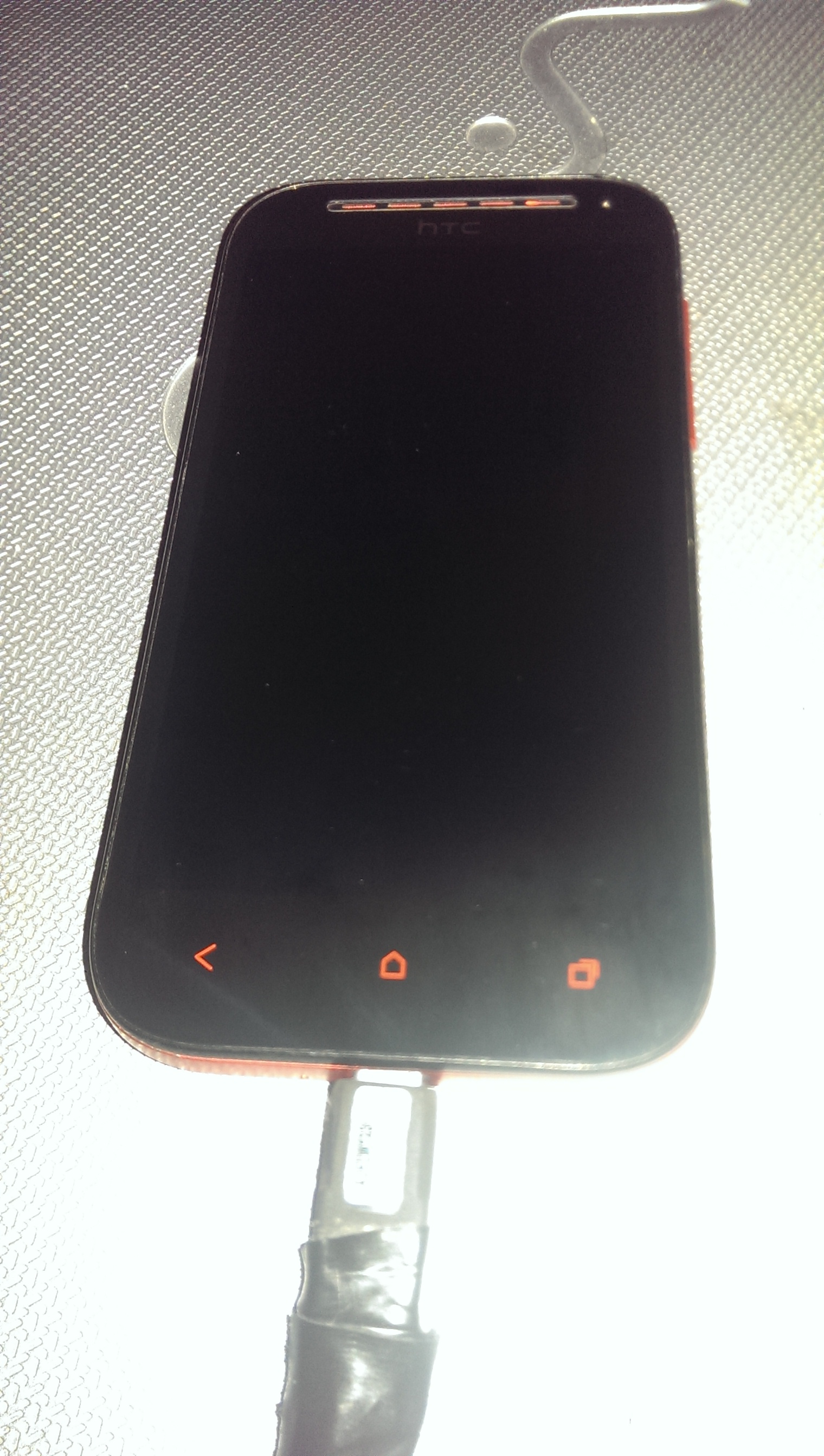 IMAG0107.jpg