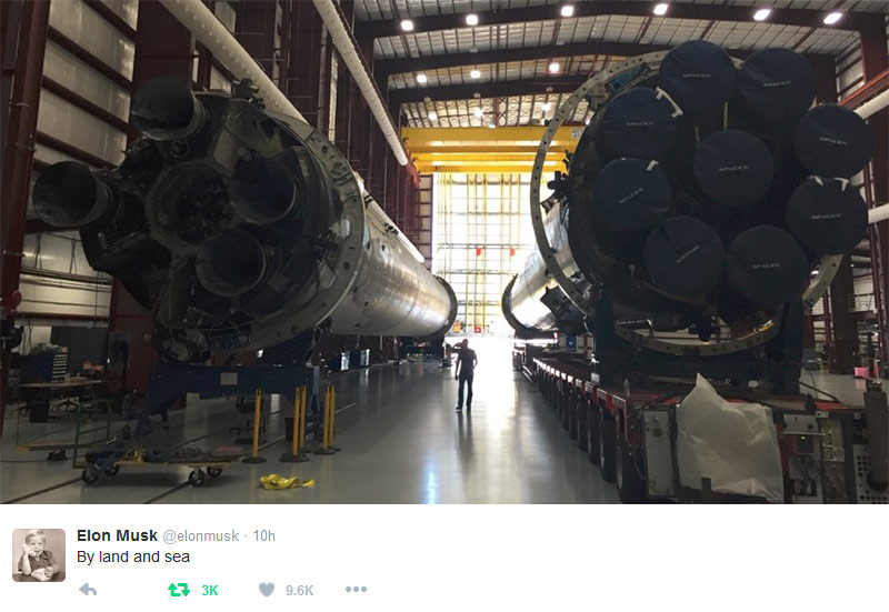 falcon.jpg