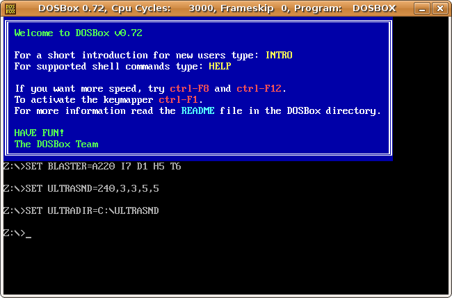 DOSBox_screenshot.png
