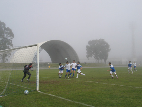 dvalishvilis_goli.jpg