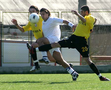 06.jpg