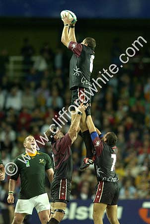 rwc0364.jpg