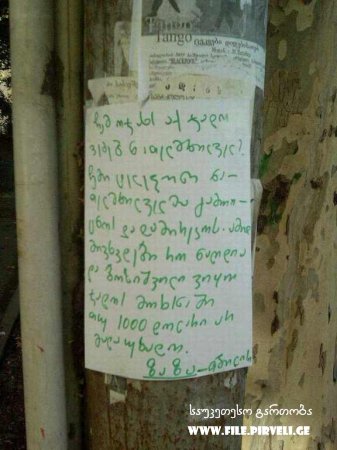 1193918320_jado.jpg