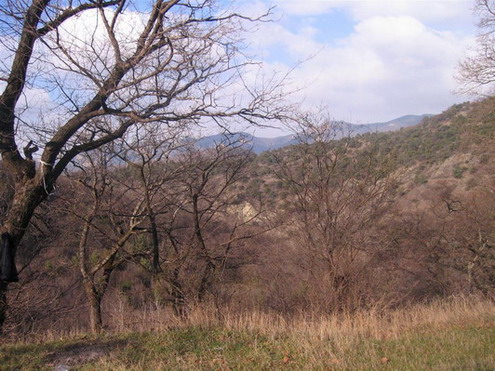 IMG_1715.JPG