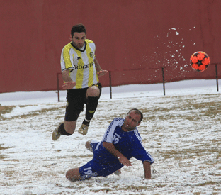 memarnishvili.gif