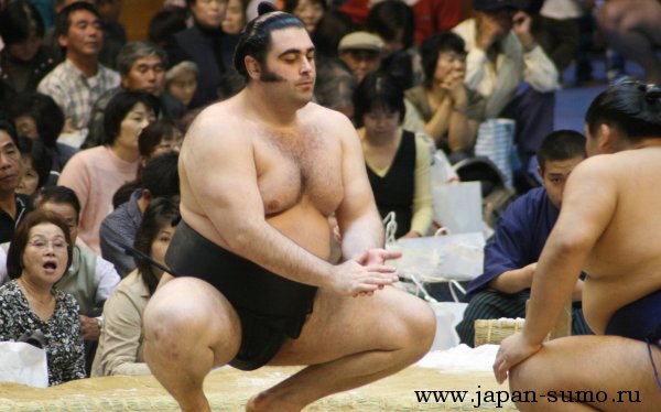 kokkaimomi.jpg
