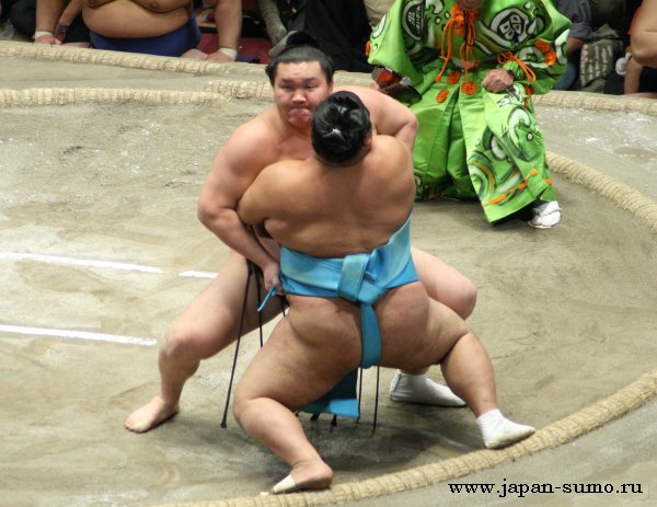 1hakutoyo.jpg