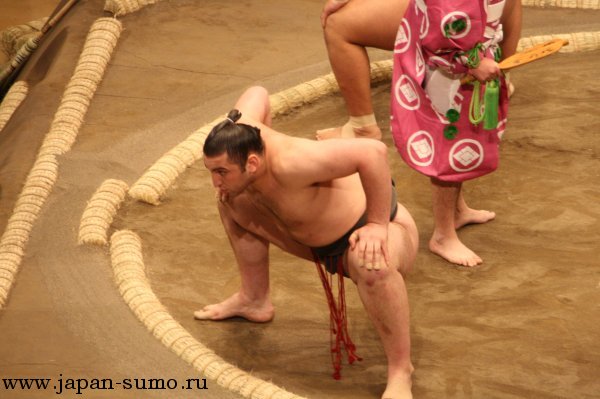tochinoshin1.jpg