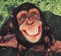 monkey23smile.JPG