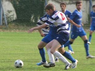 big_519.jpg