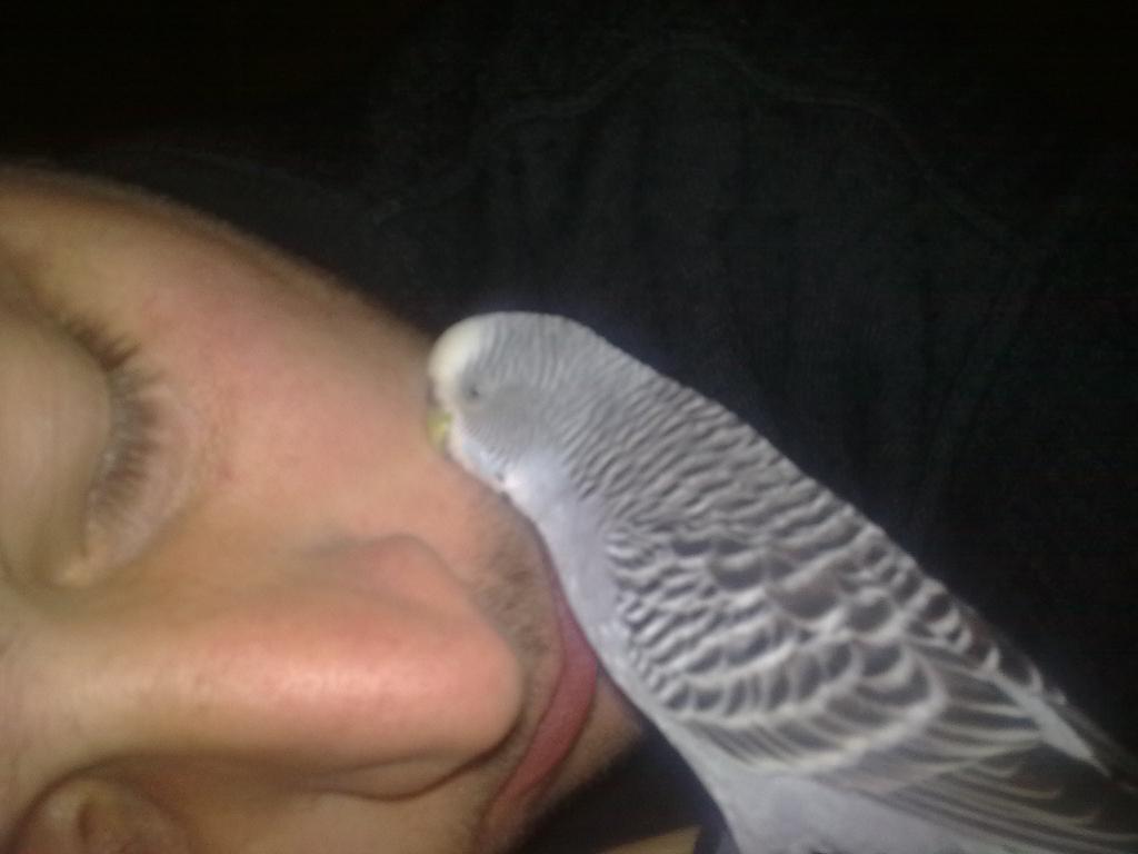 Image1414.jpg