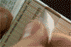 foto_1152.gif