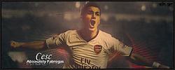 Absolutely_Fabregas_by_xploit_GFX.jpg