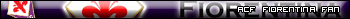 fiorentina_3.jpg