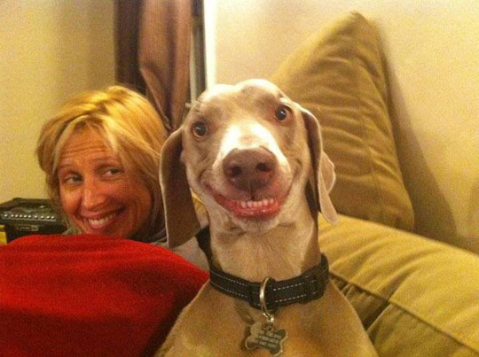 funny_dog_happy_face.jpg