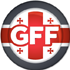 gff_2014_pic.png