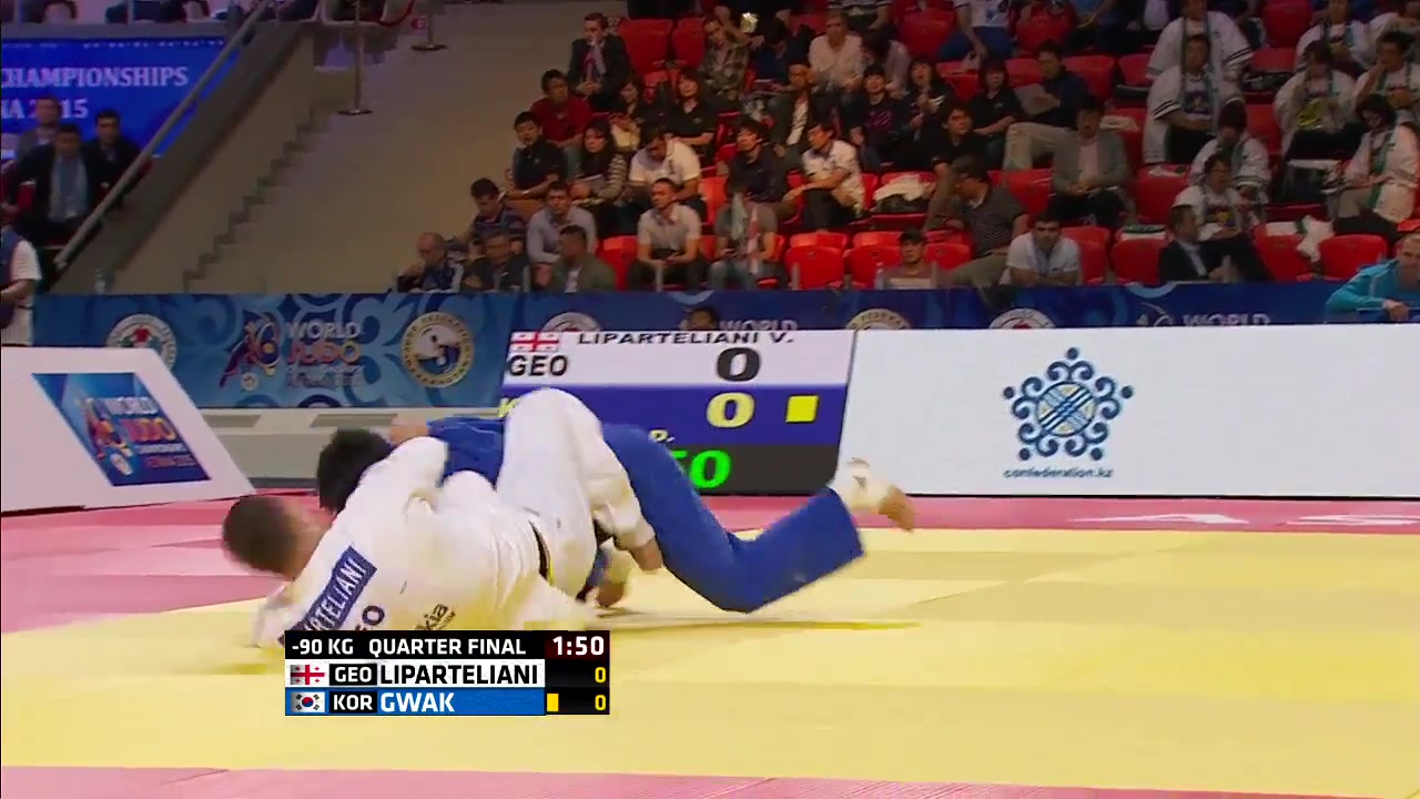 wc_sen2015_m_0090_0060_3163.jpg