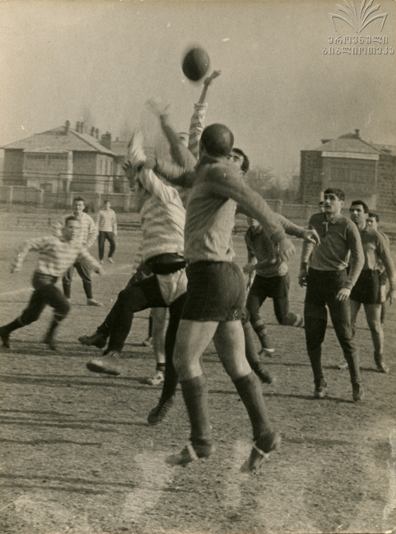 Regbi_3871962.jpg