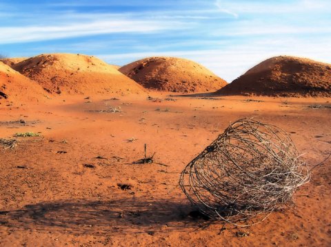 tumbleweed_empty_desert.jpg