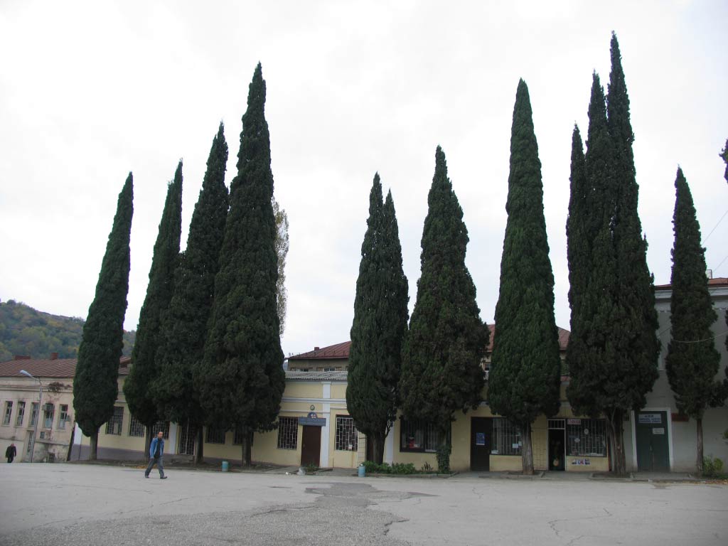 Picture_090.jpg