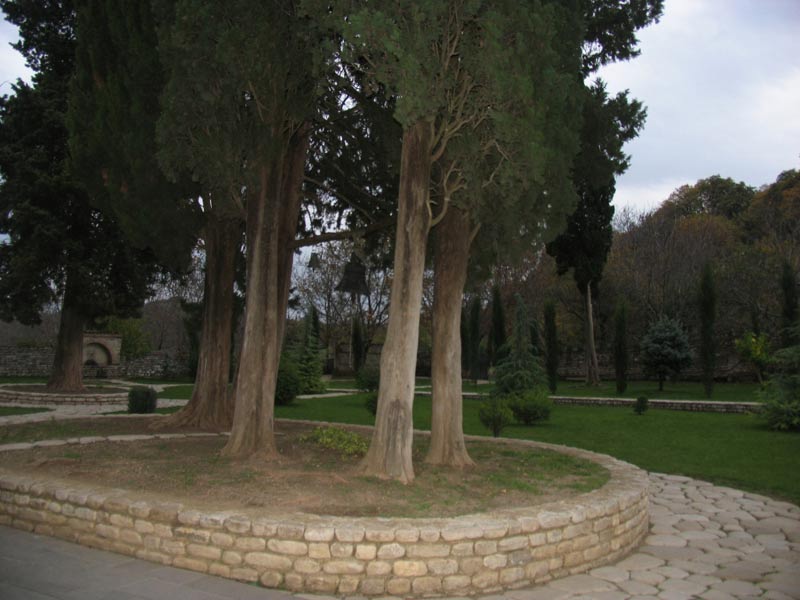 Picture_294.jpg