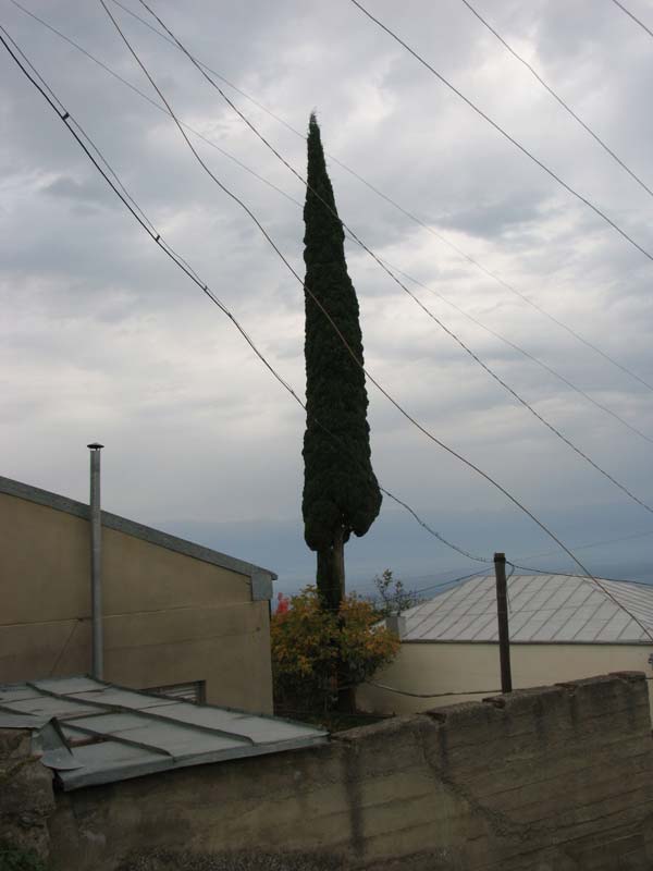 Picture_209.jpg